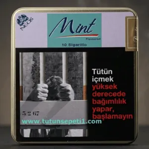 Neos Mint Sigarillo - Nane Aromalı