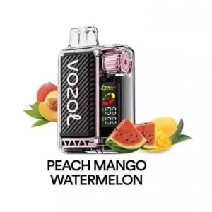 Vozol Vista 20000 Peach Mango Watermelon