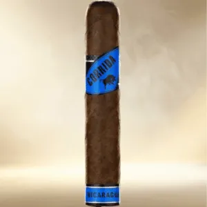 Villiger CORRIDA Nicaragua Robusto